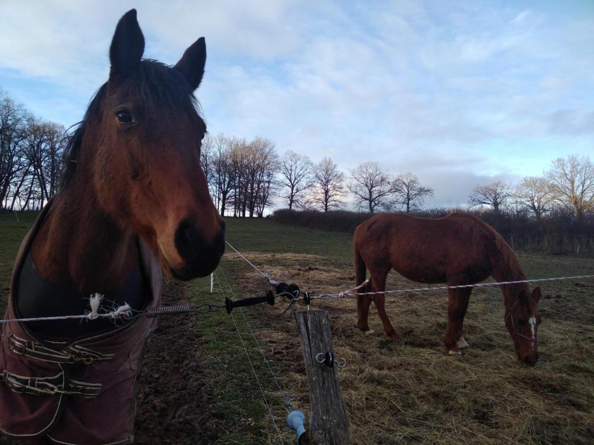 Bergerie Restauree Avec Cheminee, Jardin Clos, Animaux Acceptes - Fr-1-489-13 Sauvagny 외부 사진